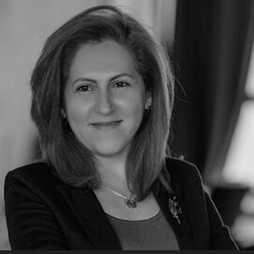 Faina Seyranyan (Psychologist, Trainer, HR consultant at 